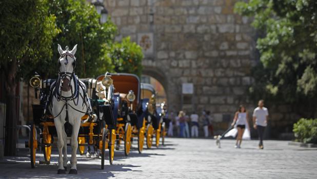 Sevilla y Barcelona unen fuerzas para captar al turista nacional y francés