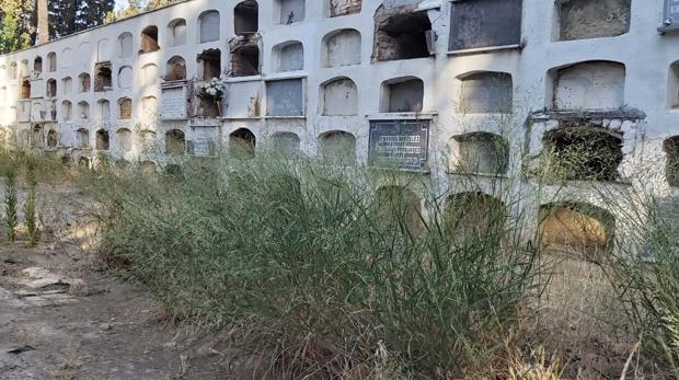 El cementerio de San Fernando de Sevilla agoniza