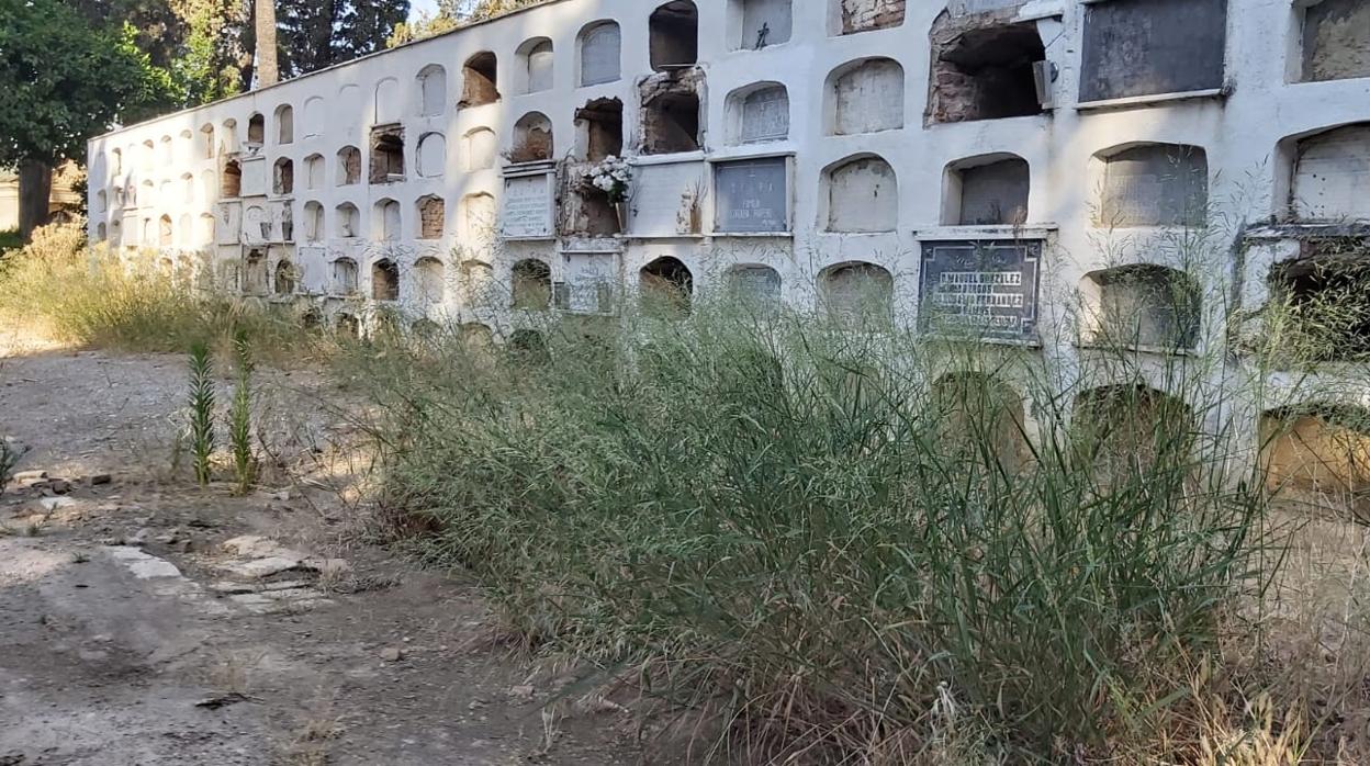 Estado de una zona del cementerio de San Fernando de Sevilla