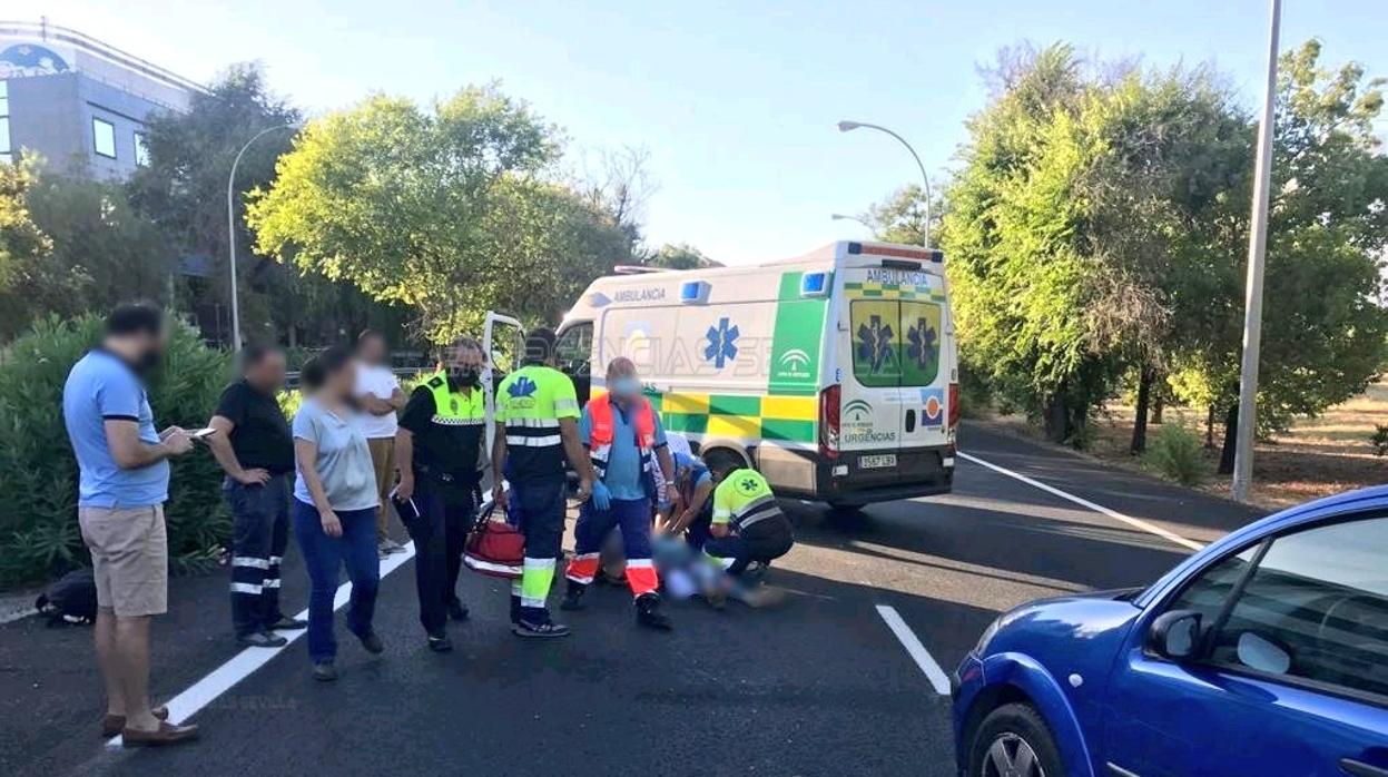 El atropello ha tenido lugar en la avenida de Jerez