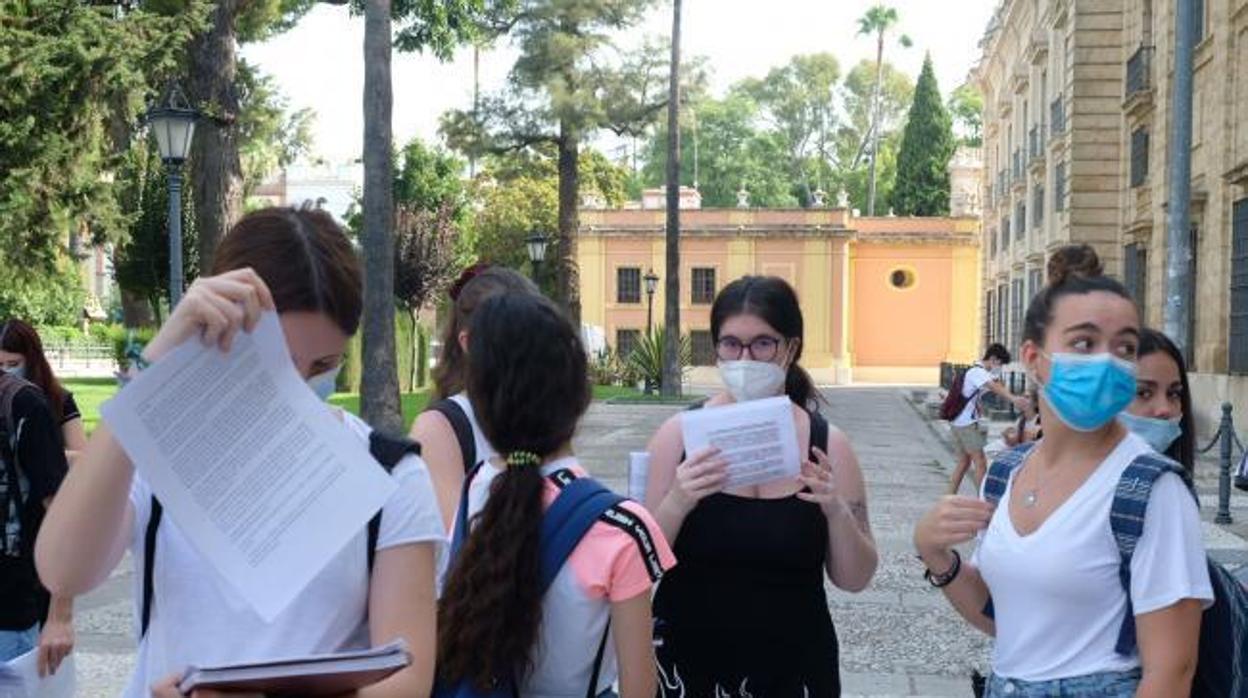 Estudiantes en el campus del Rectorado