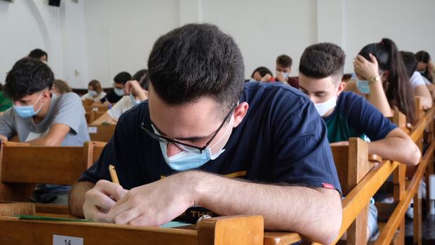 La Universidad de Sevilla ofrece 87 grados y dobles grados para el próximo curso