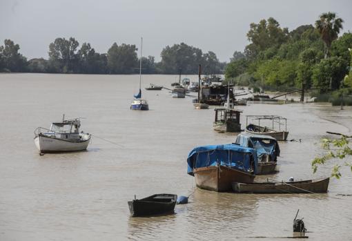 Río Guadalquivir a su paso por Coria