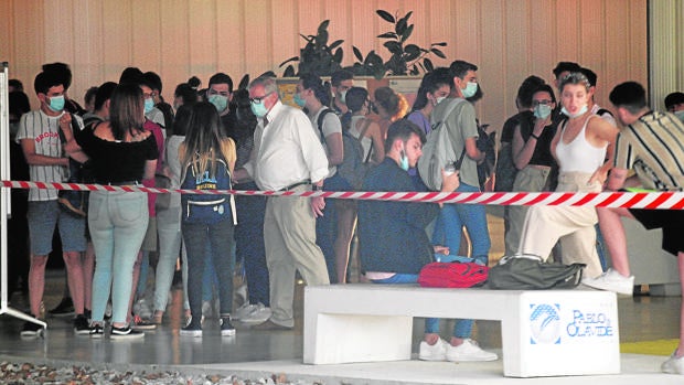 Derecho y Económicas en la UPO serán presenciales el próximo curso