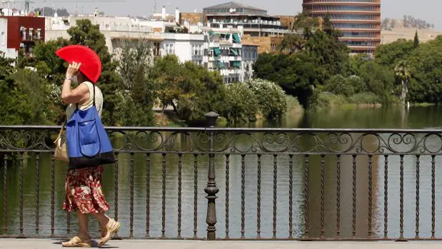 Tiempo en Sevilla: el calor vuelve a la carga con temperaturas que superarán los 35 grados