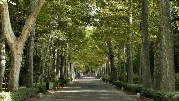 La Policía logra dar caza a un violador de turistas que atacaba en parques de Sevilla