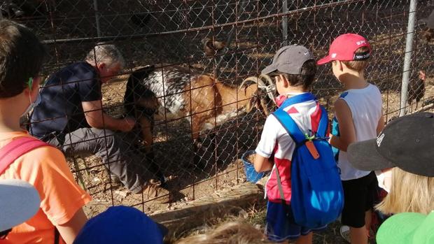 El Ayuntamiento de Sevilla cancela los campamentos de verano tras el positivo en coronavirus de un niño en la Sierra Norte