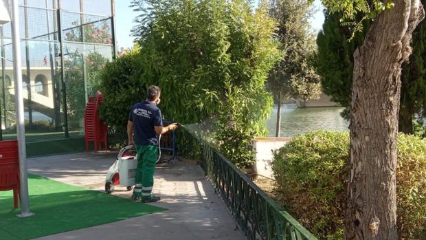 El barrio de Los Remedios pide una fumigación preventiva por su cercanía con el río