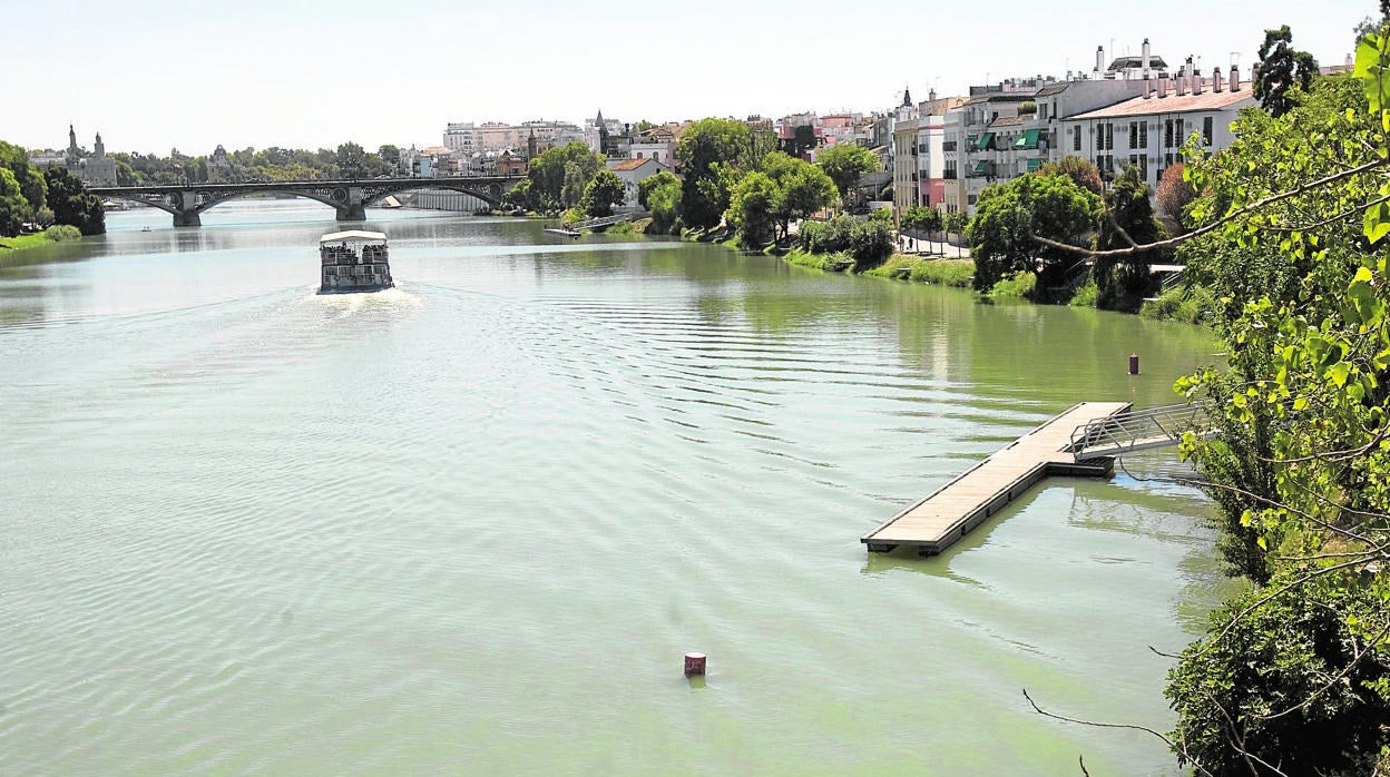 Imagen del Guadalquivir captada desde el paseo de Nuestra Señora de la O