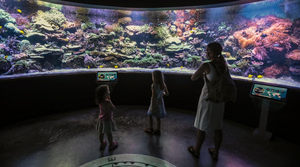 Una familia visita el Acuario de Sevilla