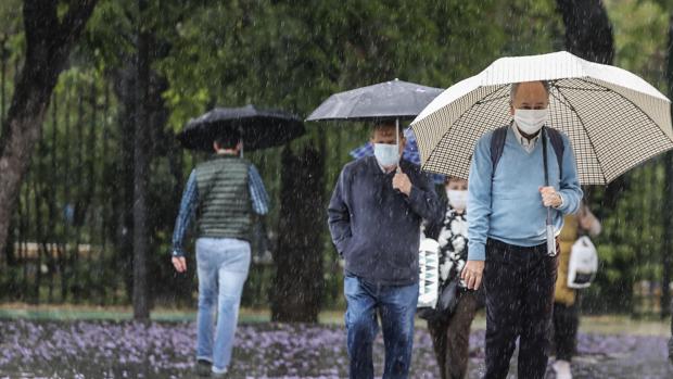 Tiempo en Sevilla: Alerta amarilla por fuertes lluvias y tormentas para este viernes