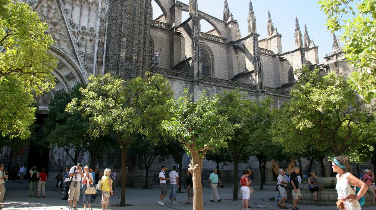 Sevilla, laboratorio europeo para luchar contra la enfermedad de los naranjos