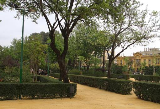 Los mejores parques y zonas verdes de Sevilla para disfrutar del otoño al aire libre