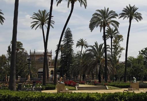 Los mejores parques y zonas verdes de Sevilla para disfrutar del otoño al aire libre