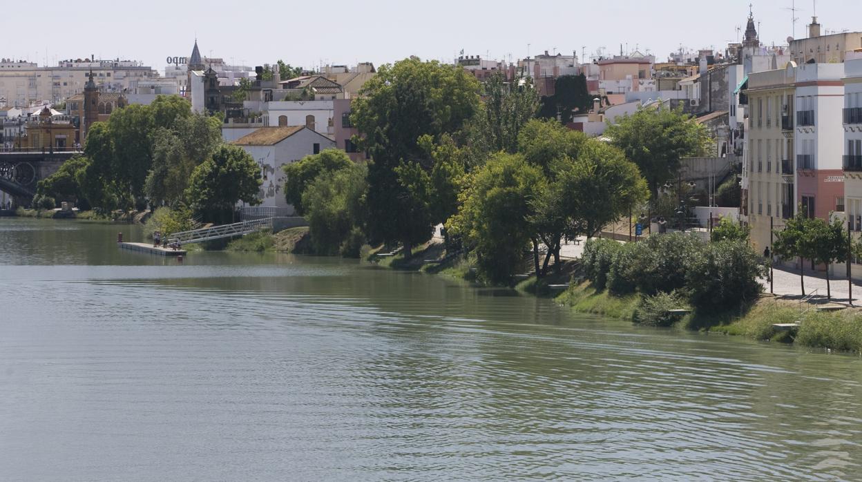 El Paseo de la O estará en obras para mejorar la conexión peatonal y cicilsta con la calle Betis