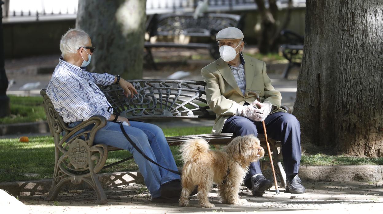 Dos hombres charlado en un parque