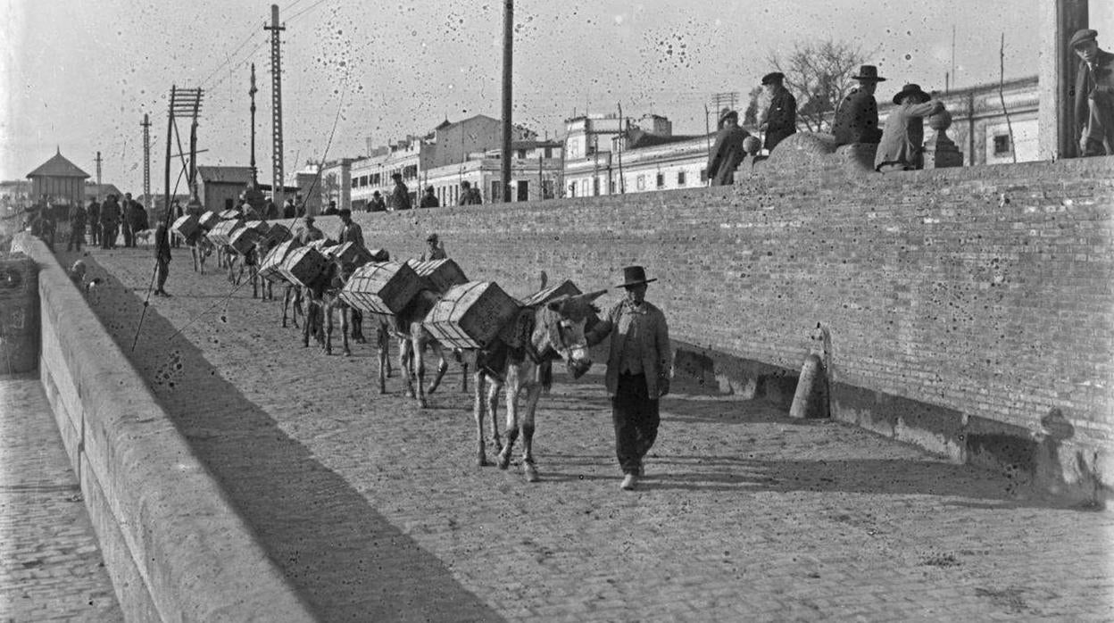 El muro de defensa del Paseo de las Delicias en 1925, donde se aprecian los bancos regionalistas