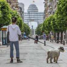 Las seis noticias que debes conocer hoy, viernes 4 de diciembre