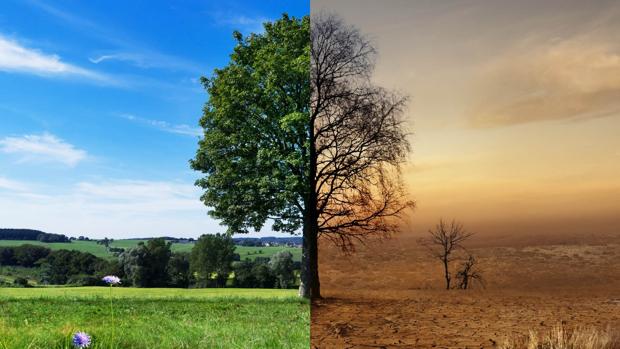 Emasesa amplía hasta el 15 de enero el proceso de participación ciudadana para su plan de emergencia climática