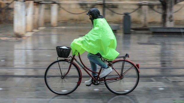 Tiempo en Sevilla: cerrados todos los parques públicos por la lluvia y el viento