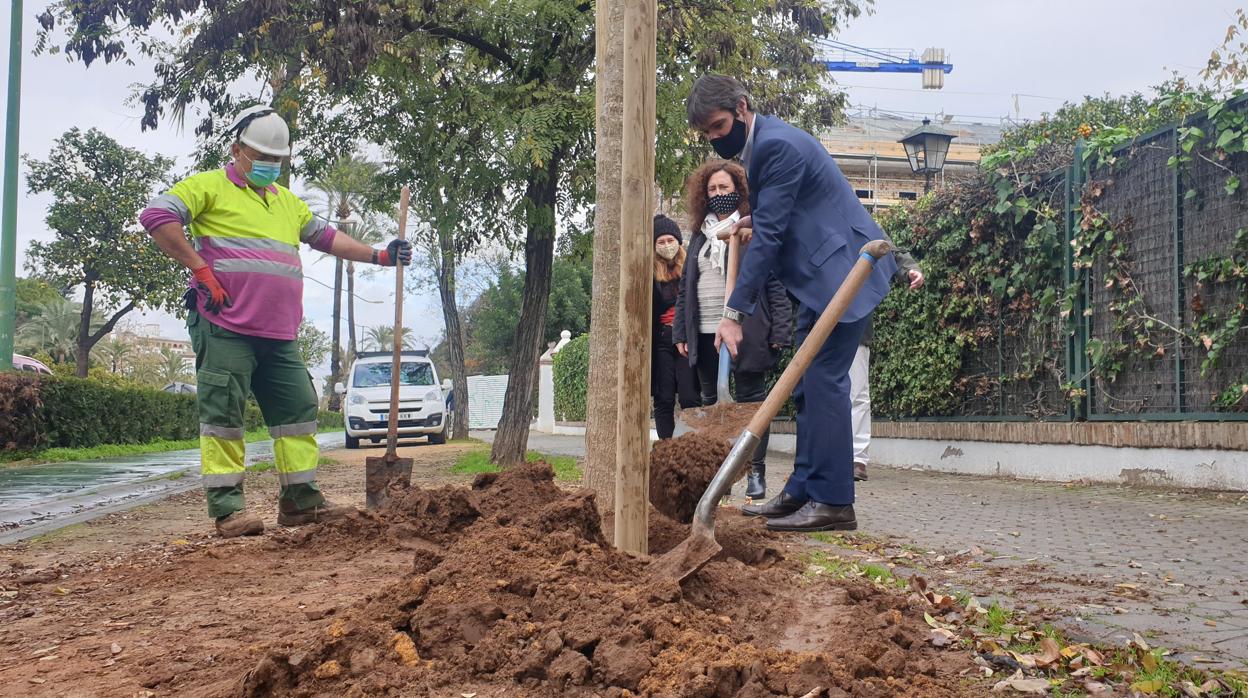 El delegado de Transición Ecológica y Deportes, David Guevara, planta un árbol