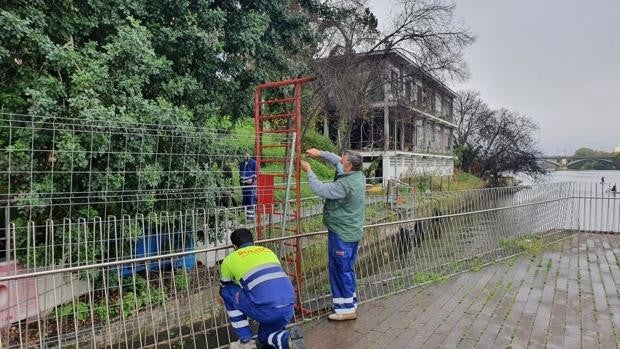 La Junta de Andalucía inicia los trabajos de demolición de la antigua Comisaría de Policía de la calle Betis