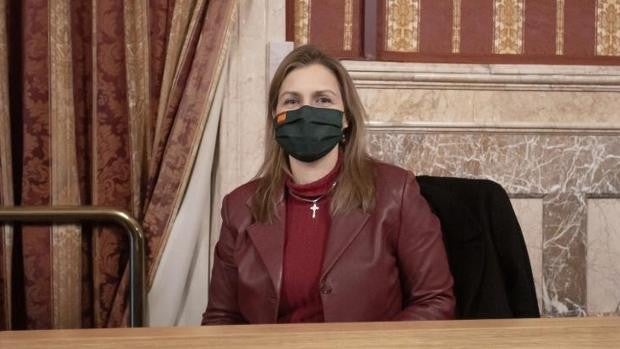 Vox acusa al alcalde de Sevilla de «oscurantismo y encubrimiento» en el Caso Cabrera