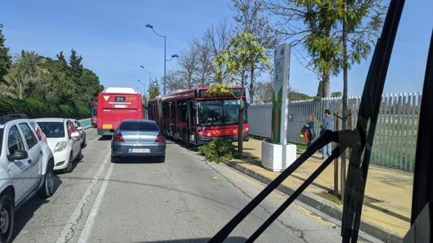 Un conductor de autobús se desvanece e invade la acera contraria en la Cartuja