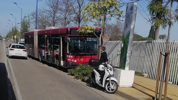 El conductor de Tussam que se desvaneció e invadió la acera en la Cartuja da positivo en coronavirus