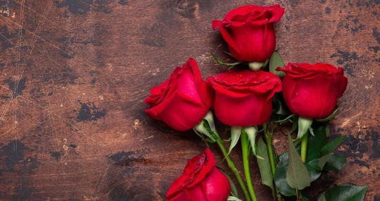 Las rosas rojas simbolizan la pasión, la seducción y el erotismo