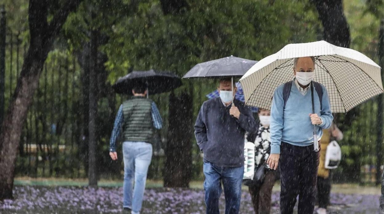 Varios viandantes recorren Sevilla bajo la lluvia