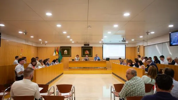 El TSJA obliga a la Diputación de Sevilla a facilitar cuánto dinero destina a los grupos políticos