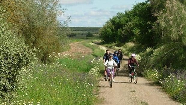 Seis rutas de senderismo para realizar durante el Puente de Andalucía en la provincia de Sevilla