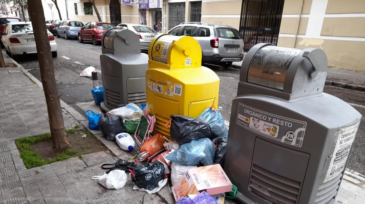 Bolsas de basura amontonadas junto a los contenedores de Pino Montano, esta misma semana