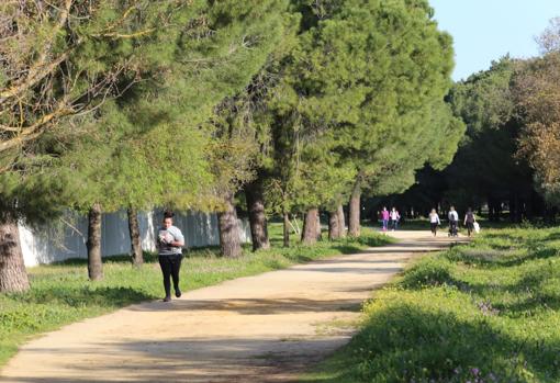 Aspecto de las mejoras que se han hecho en el parque de Torreblanca