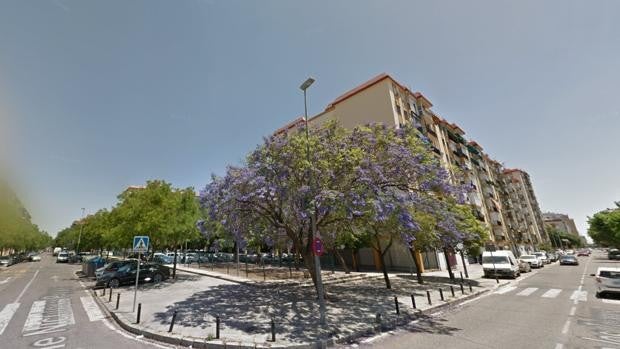 Dos mujeres heridas tras caer otra rama de un árbol en el barrio de Triana de Sevilla