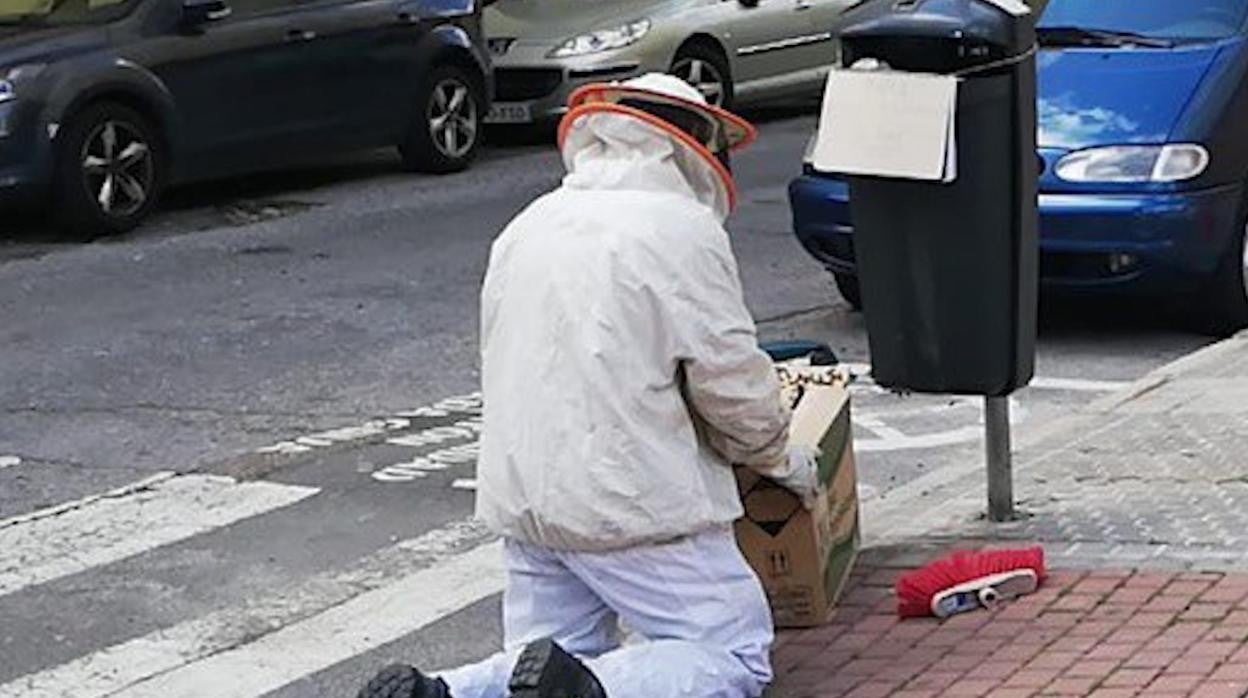 Los profesionales retiran el enjambre de la papelera de la calle Constancia