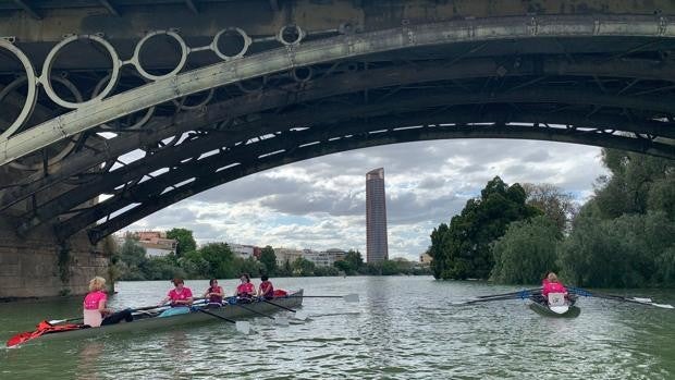 Las Leonas del Guadalquivir: mujeres que plantan cara al cáncer de mama con el remo