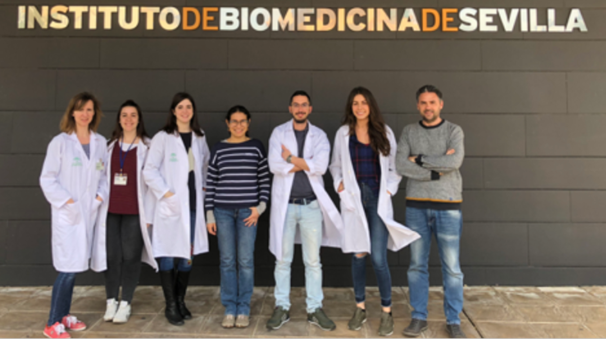 Investigadores del Instituto de Biomedicina de Sevilla