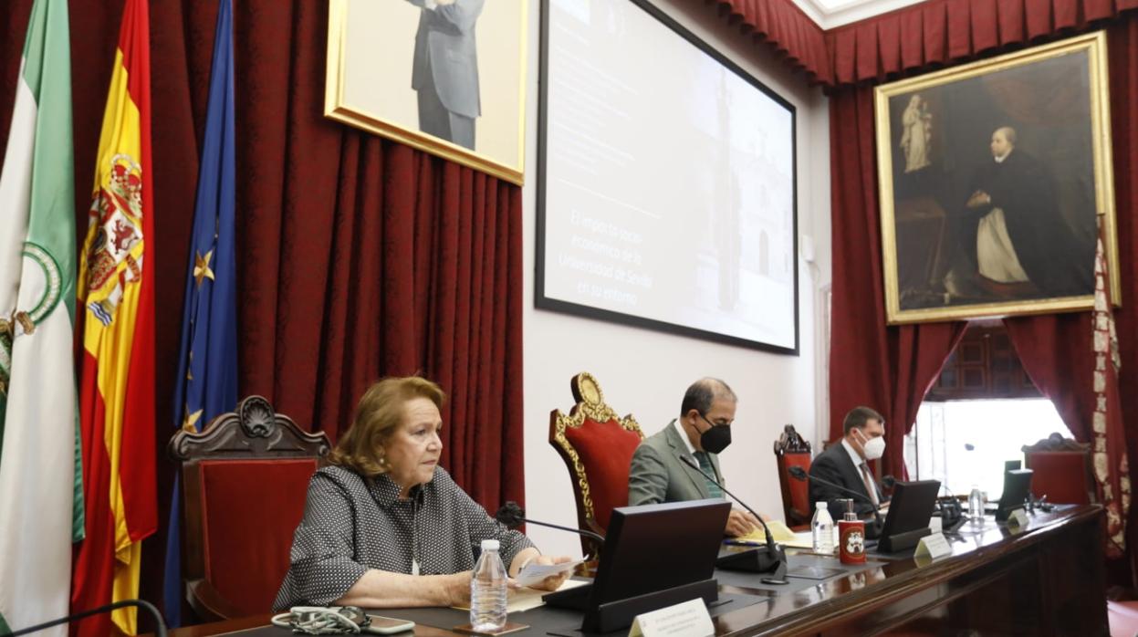 Miguel Ángel Castro junto a la presidenta del Consejo Social, Concha Yoldi y el catedrático de Administraciones de Empresas y Markentig, Francisco José Acedo