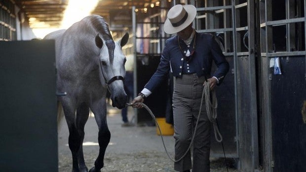 Felipe VI concede el título de real a la Asociación de Criadores de Caballos Españoles