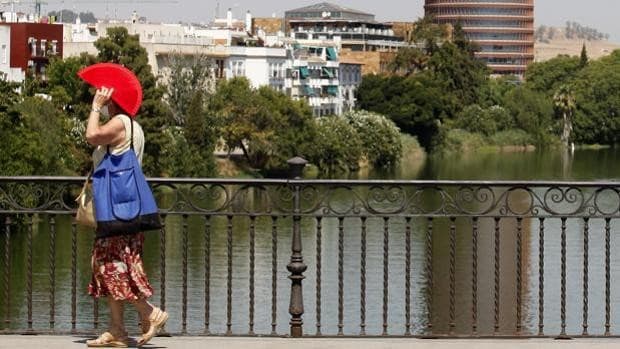 Encuesta: estos son los lugares de Sevilla que necesitan sombra urgente según los lectores de ABC