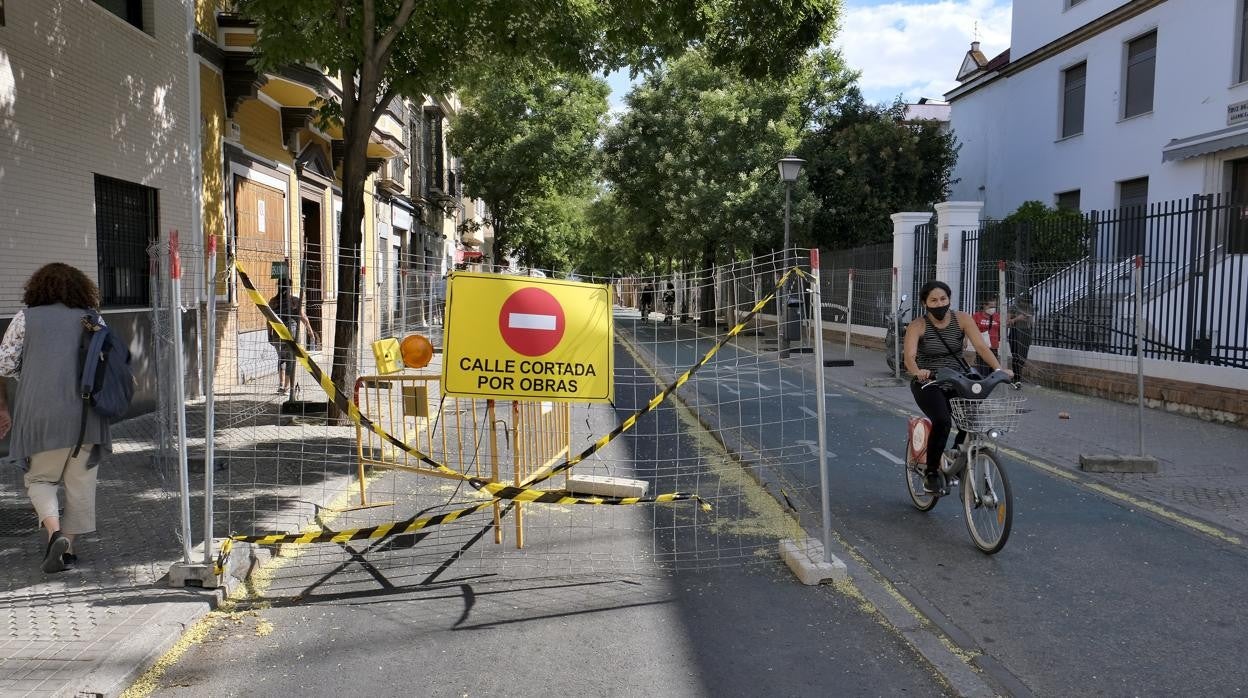 La avenida de la Cruz Roja, en obras, donde denuncian que se talarán 50 árboles