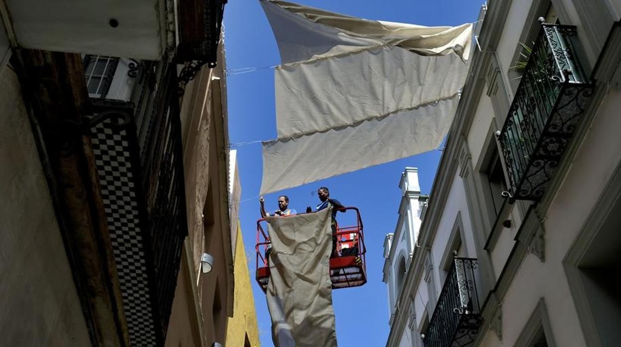 Operarios instalando los toldos el año pasado en Sevilla