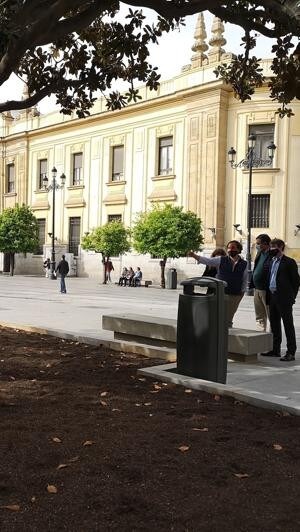 Un catálogo de árboles singulares velará por el patrimonio verde de Sevilla  capital