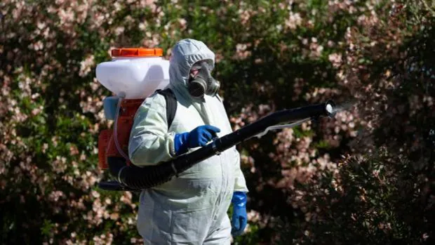 Virus del Nilo: un año del mosquito que causó el pánico en la provincia de Sevilla