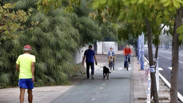 La red ciclista de Sevilla crecerá por los terrenos del Puerto