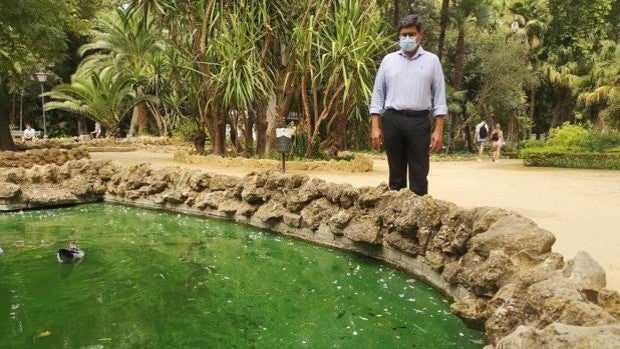 Ciudadanos avisa de «una costra de suciedad» en el agua de varios estanques del Parque de María Luisa