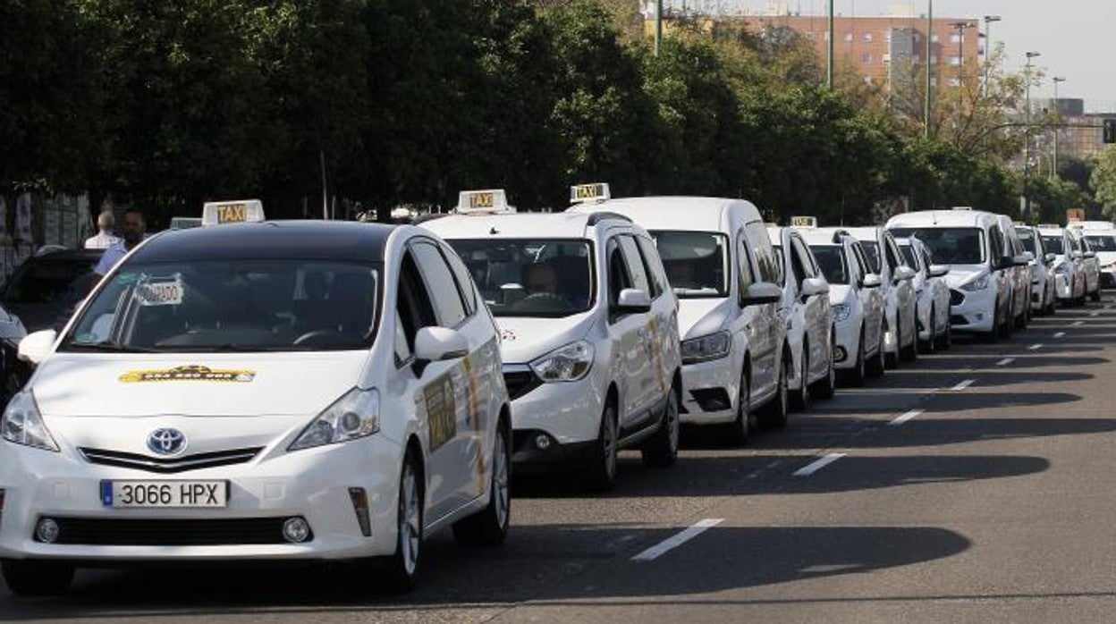 Varios taxis en una de las vías principales de Sevilla