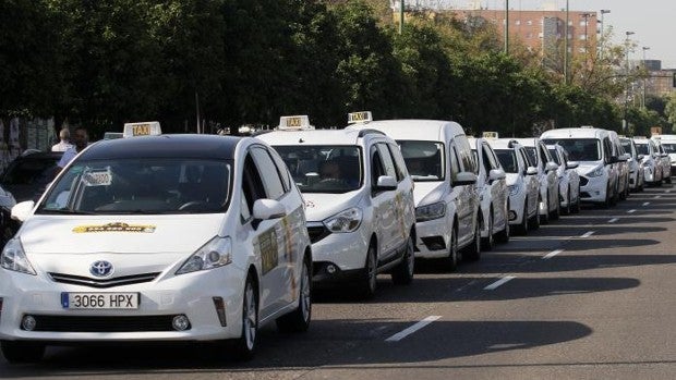 Los taxis de Sevilla recuperan la actividad que tenían antes de la pandemia